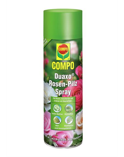 COMPO Duaxo Rosen-Pilz Spray