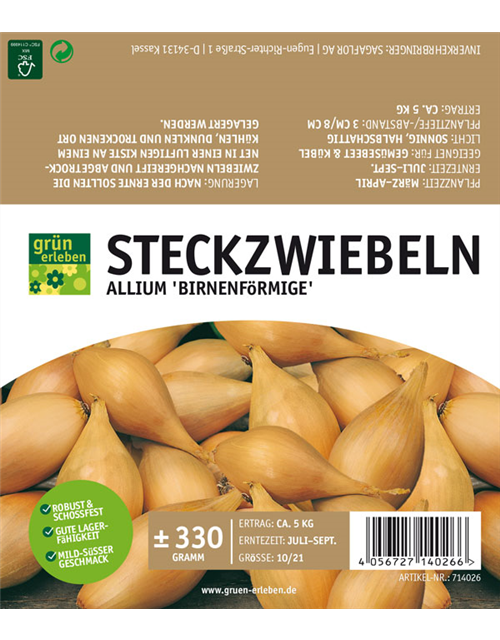 Steckzwiebel Birnenförmige