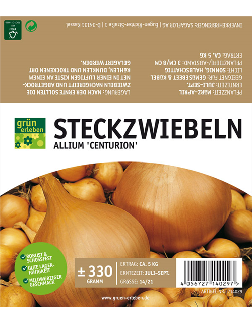 Steckzwiebel Sturon 