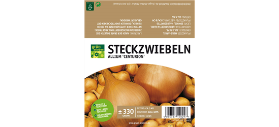 Steckzwiebel Sturon 