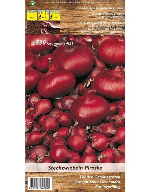 Steckzwiebel Piroska rot 