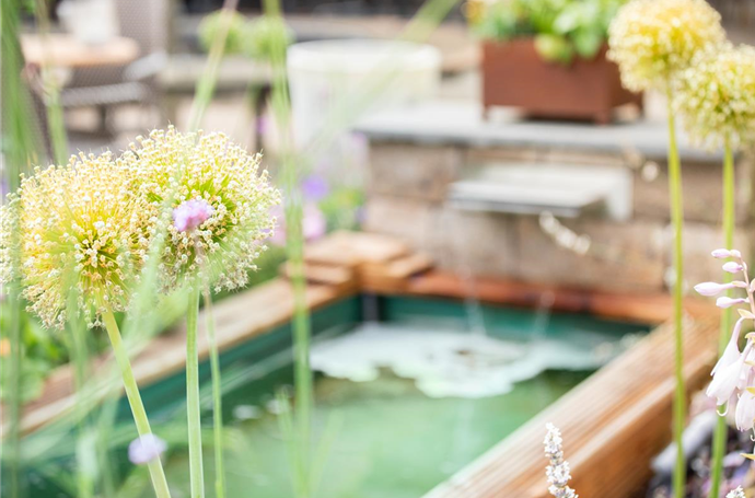 Whirlpools kaufen für die Oase im eigenen Garten