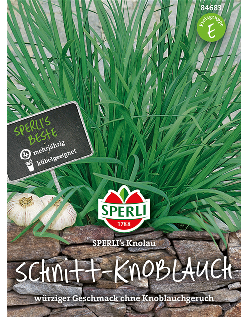 Schnitt - Knoblauch Knolau