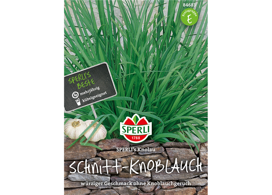 Schnitt - Knoblauch Knolau