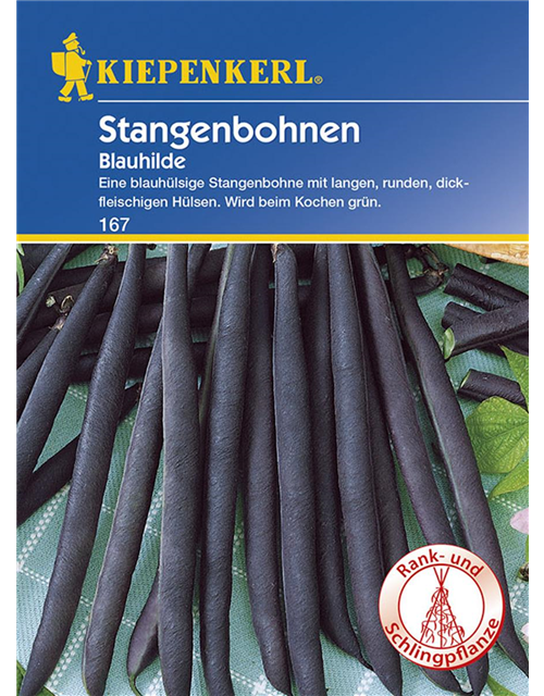 Stangenbohnen Blauhilde