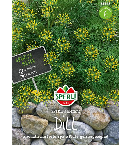 Dill Elefant