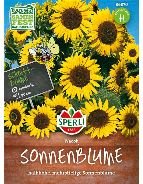 Sonnenblume Waooh