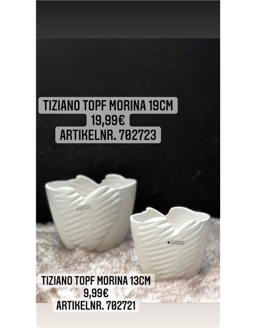 Topf Morina