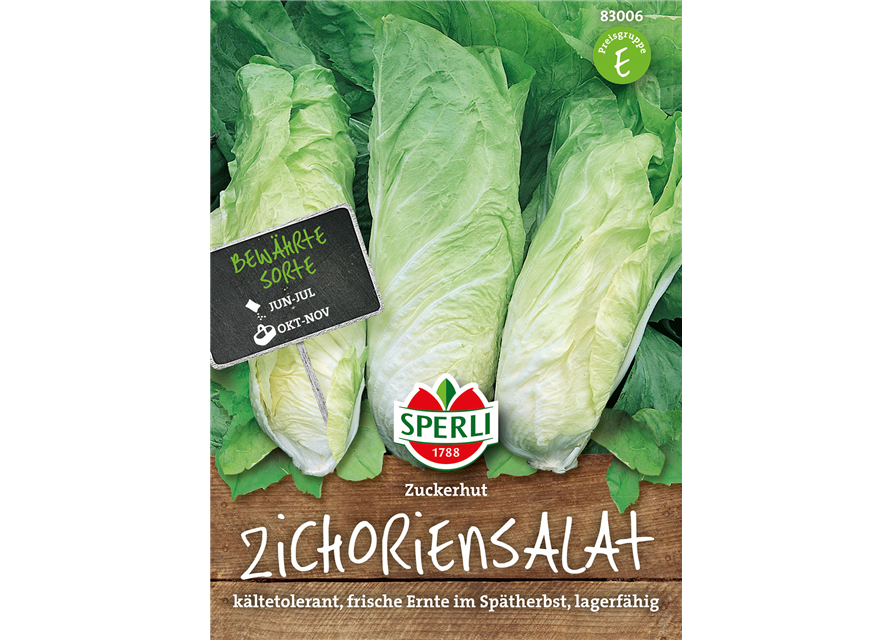 Zichoriensalat Zuckerhut