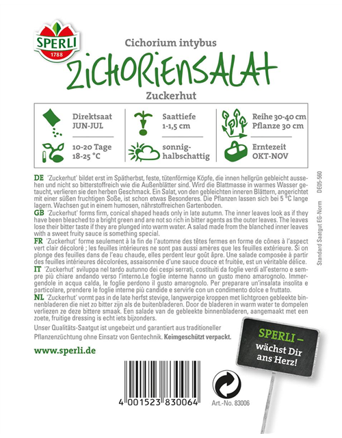 Zichoriensalat Zuckerhut