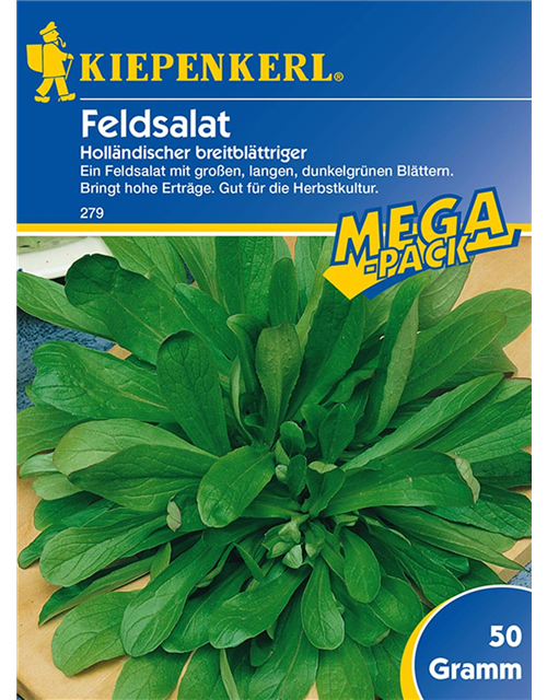 Feldsalat Holländischer breitblättriger 