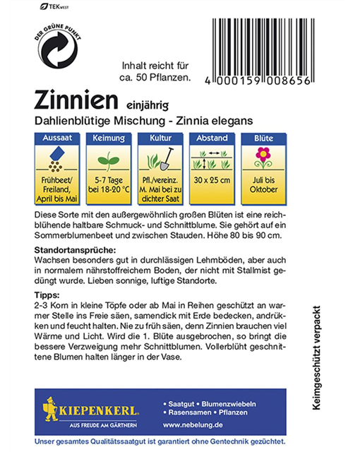 Zinnien Dahlienblütige Mischung