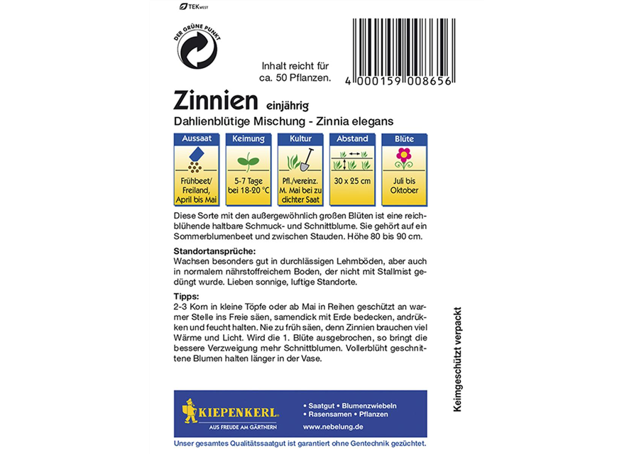 Zinnien Dahlienblütige Mischung