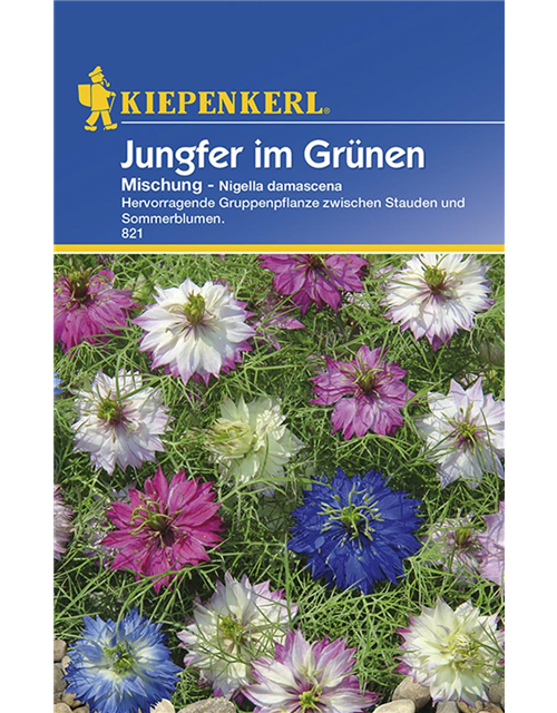 Jungfer im Grünen