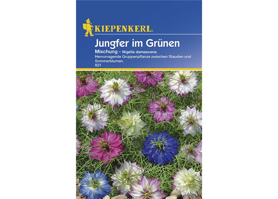 Jungfer im Grünen