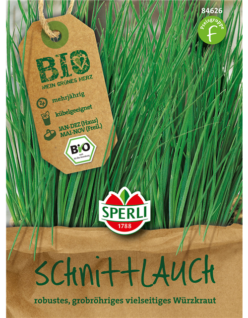 Bio Kräuter Schnittlauch