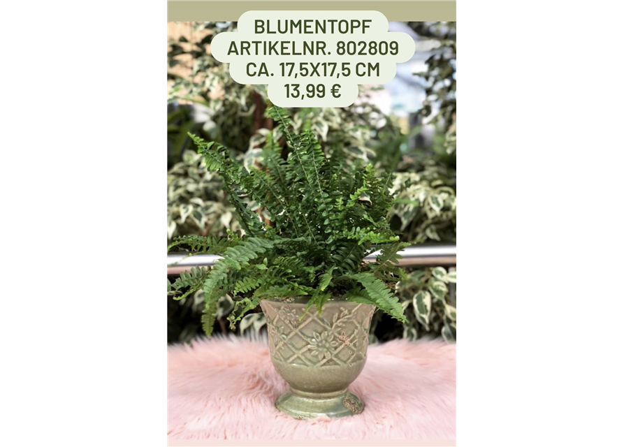 Blumentopf