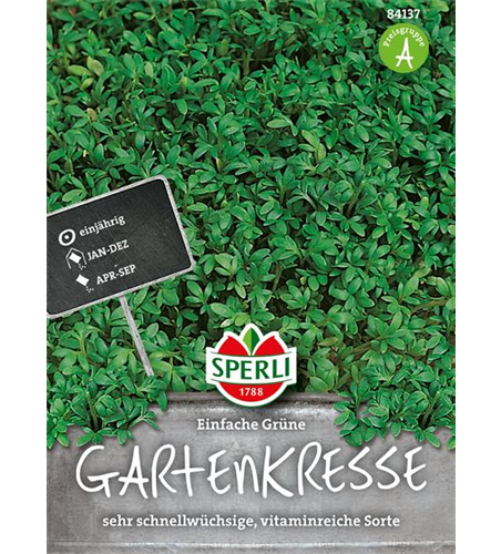 Gartenkresse Einfache Grüne