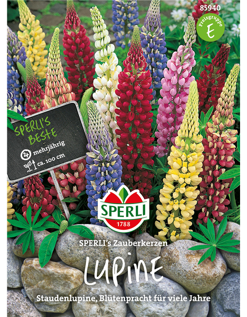 Lupinen SPERLING´s Zauberkerzen