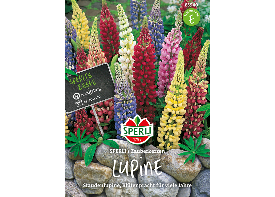 Lupinen SPERLING´s Zauberkerzen