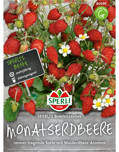 Monatserdbeeren Bowlenzauber