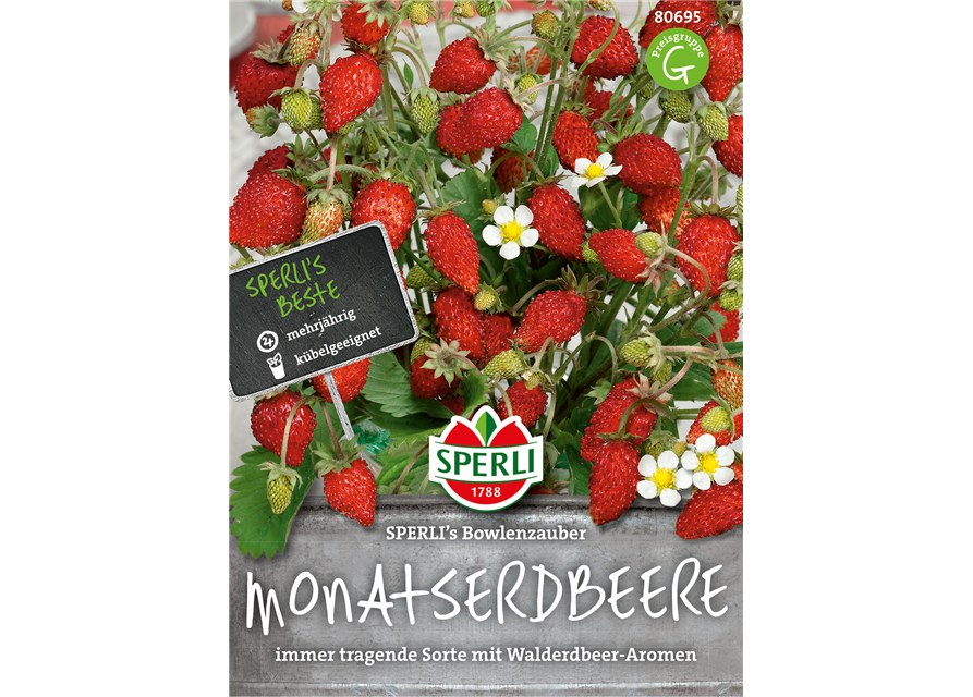 Monatserdbeeren Bowlenzauber