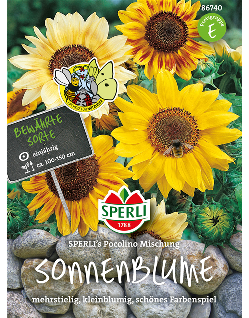 Sperli Sonnenblume Picolino Mix