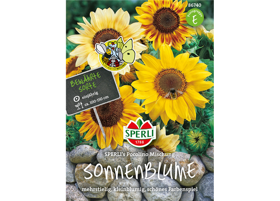 Sperli Sonnenblume Picolino Mix