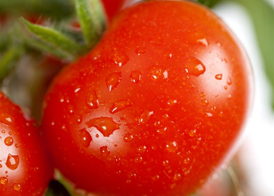 Tomaten Resi 