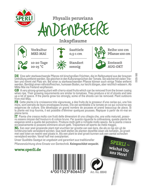 Andenbeere Inkapflaume