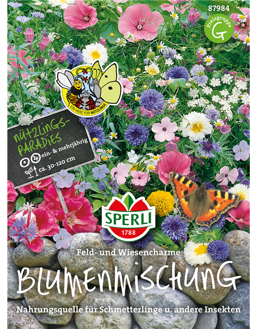 Blumenmix Feld-und Wiesencharme