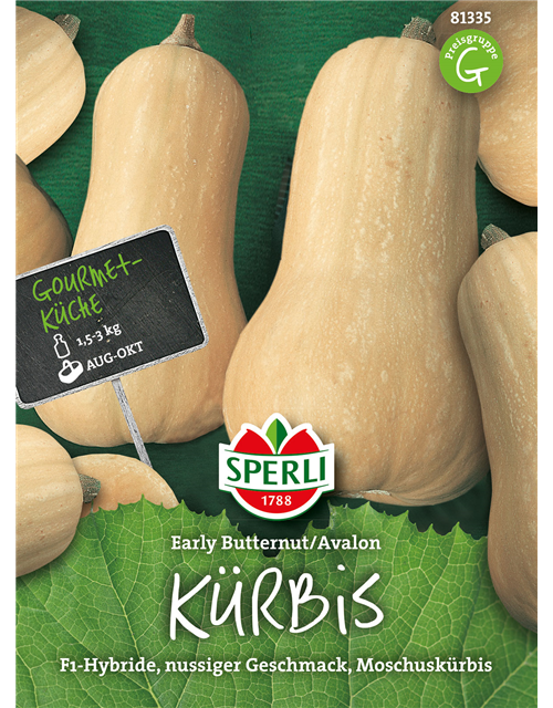 Kürbis Early Butternut Avalon