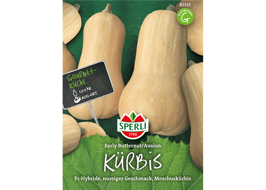 Kürbis Early Butternut Avalon