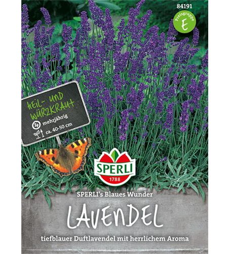 Lavendel Blaues Wunder