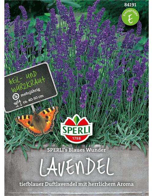 Lavendel Blaues Wunder