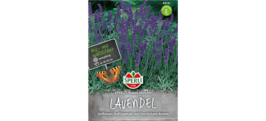 Lavendel Blaues Wunder