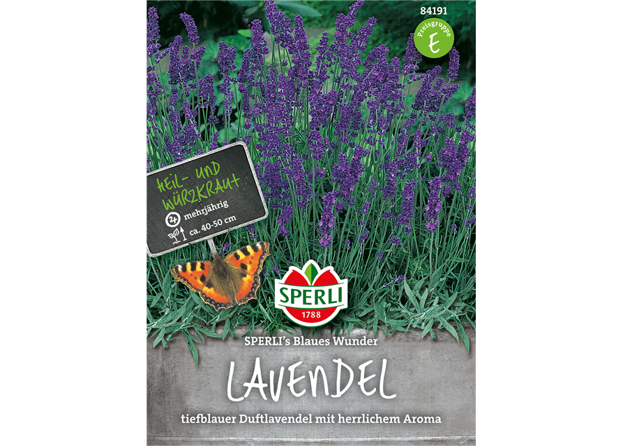 Lavendel Blaues Wunder