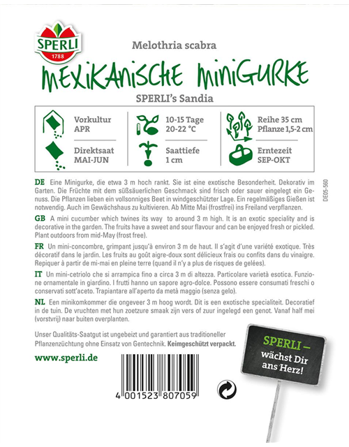 Mexikanische Minigurke