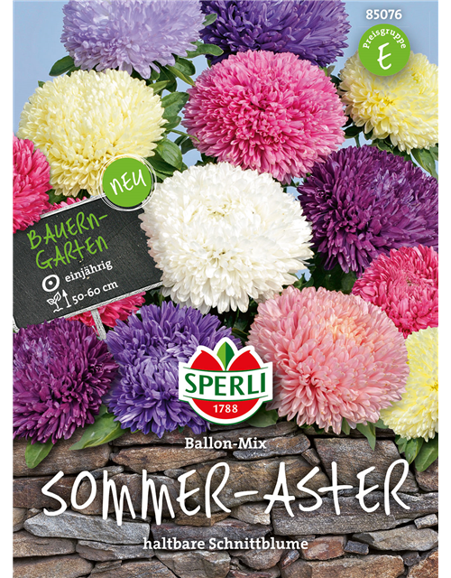 Sommer Aster Ballon Mischung