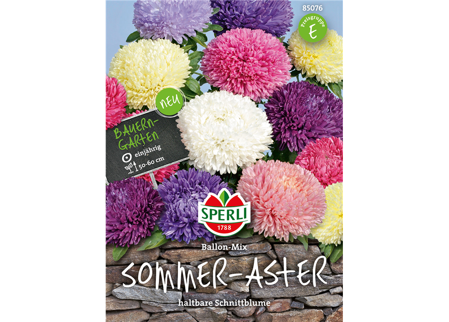 Sommer Aster Ballon Mischung