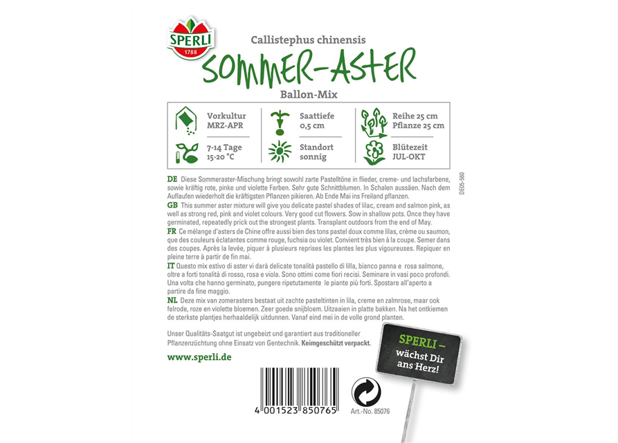 Sommer Aster Ballon Mischung