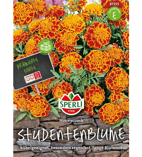 Studentenblume Honeycomb