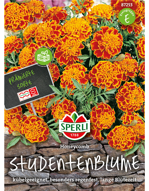 Studentenblume Honeycomb