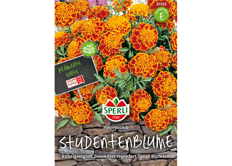 Studentenblume Honeycomb