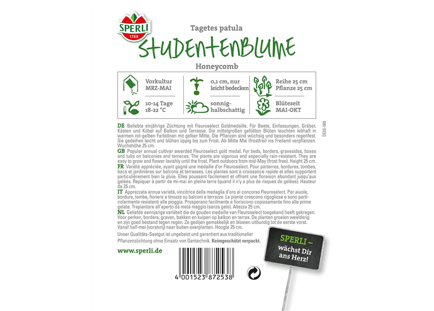 Studentenblume Honeycomb