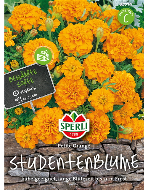 Studentenblumen Petite Orange