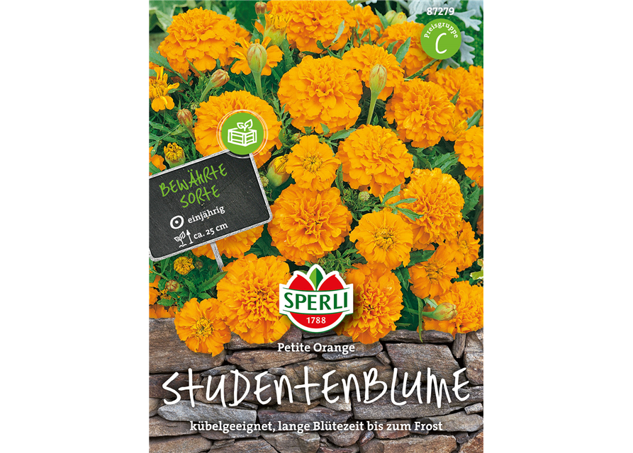 Studentenblumen Petite Orange