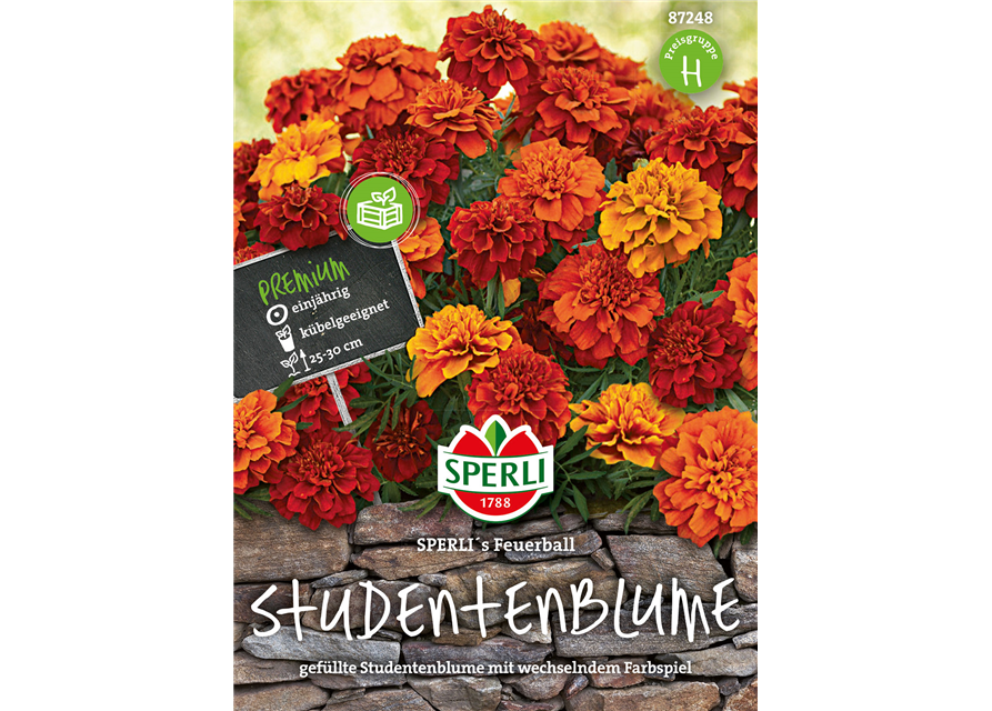 Tagetes Feuerball