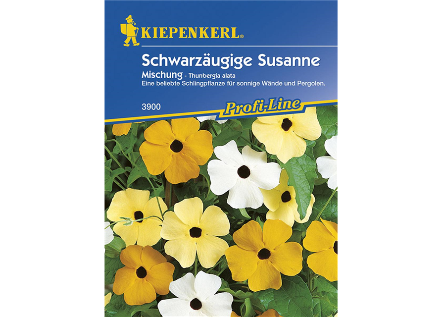 Schwarzäugige Susanne