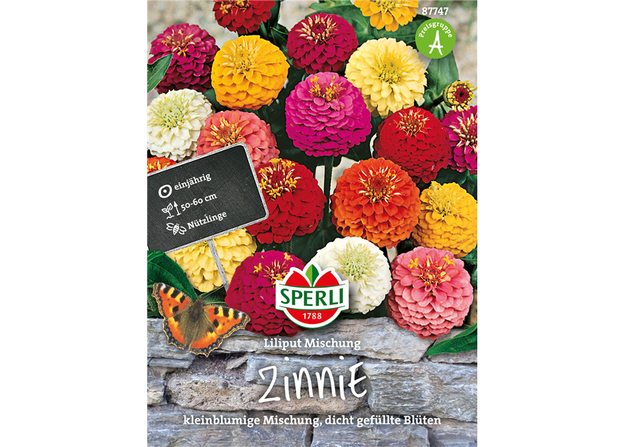 Zinnien